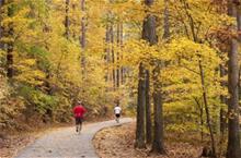 Lake Pine Greenway Trail with Men Running