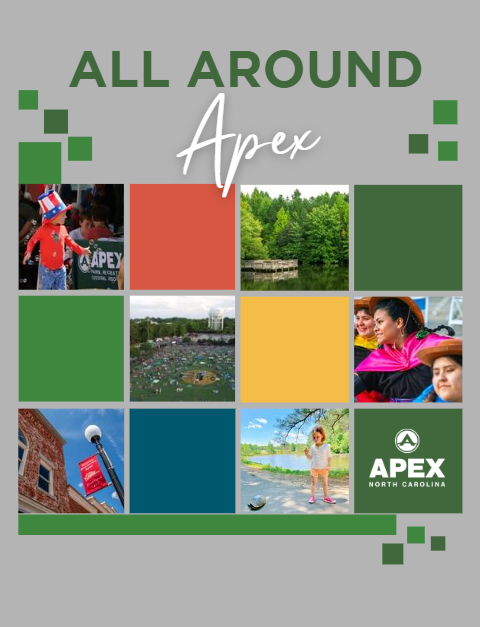 Screenshot 2023-06-15 104752 Opens in new window